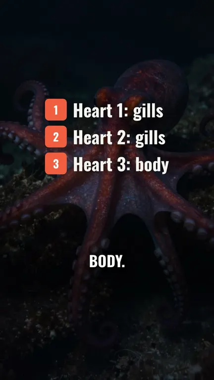 A faceless Short made with our AI: a picture for every line and captions on each word